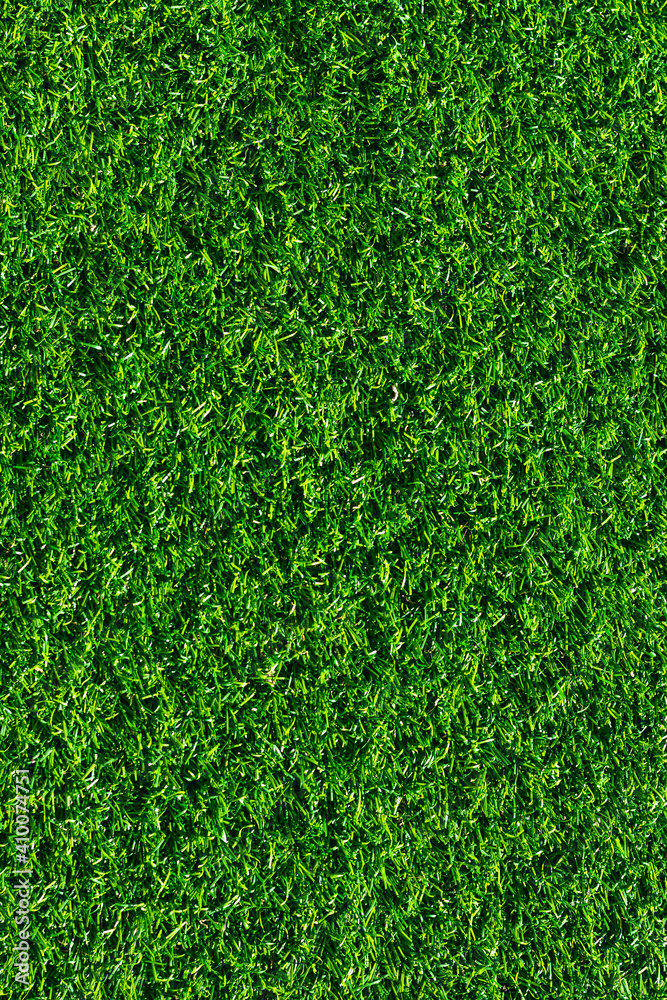Fototapeta premium Green Grass Texture in Garden