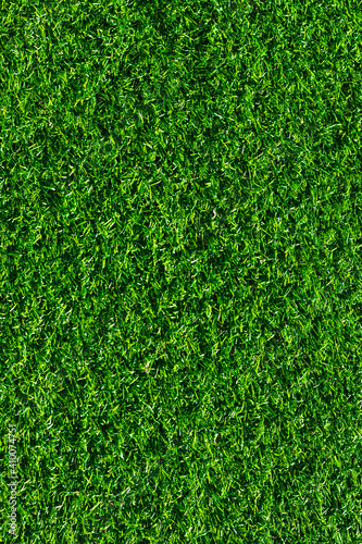 Green Grass Texture in Garden