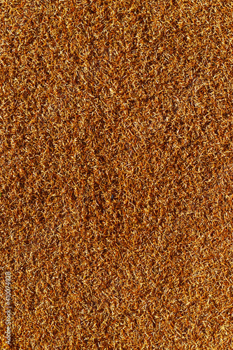 Brown Carpet Texture in Home