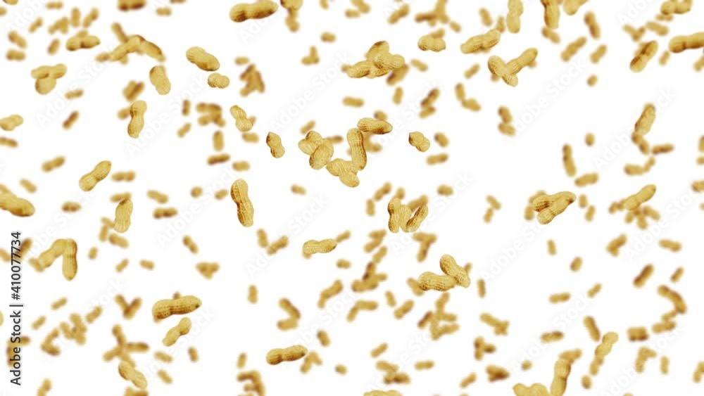 Flying many peanuts on white background. Raw peanuts. Groundnuts in shells. Healthy organic food. 3D loop animation of seed rotating. Flying many peanuts on white background. Raw peanuts. Groundnuts in shells. Healthy organic food. 3D loop animation of seed rotating.