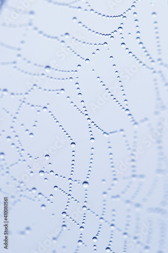 spider web as blue natural rain pattern background close-up.