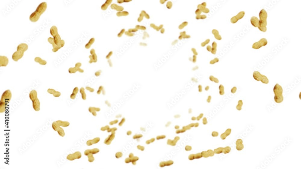 Flying many peanuts on white background. Raw peanuts. Groundnuts in shells. Healthy organic food. 3D loop animation of seed rotating. Flying many peanuts on white background. Raw peanuts. Groundnuts in shells. Healthy organic food. 3D loop animation of seed rotating.