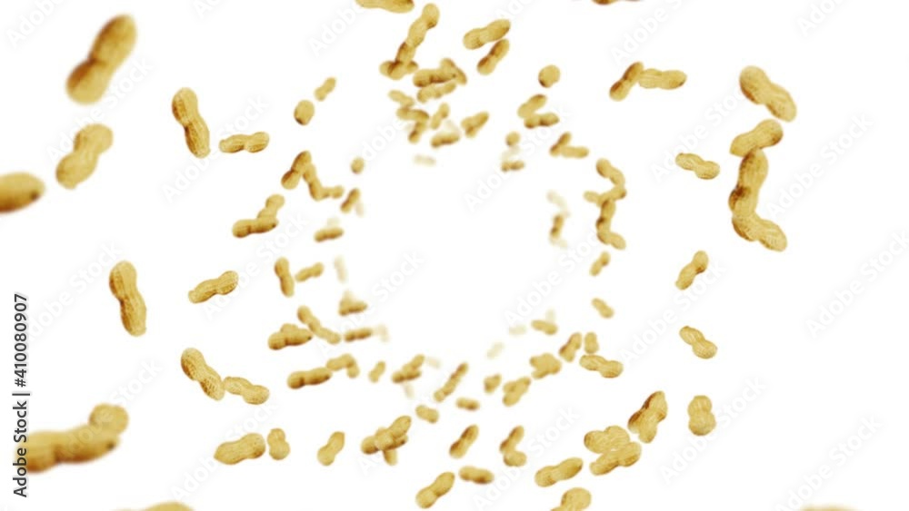 Flying many peanuts on white background. Raw peanuts. Groundnuts in shells. Healthy organic food. 3D loop animation of seed rotating. Flying many peanuts on white background. Raw peanuts. Groundnuts in shells. Healthy organic food. 3D loop animation of seed rotating.