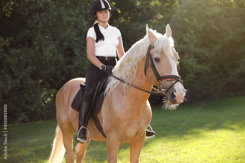 Fototapeta premium Young woman in equestrian suit riding horse outdoors on sunny day. Beautiful pet