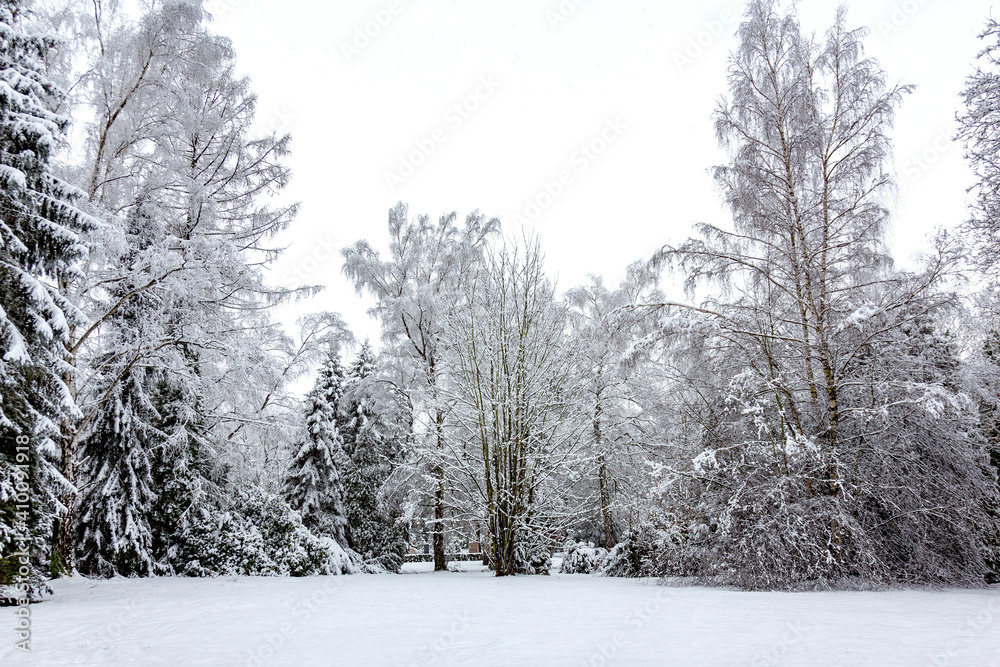 Naklejka premium Winterlandschaft