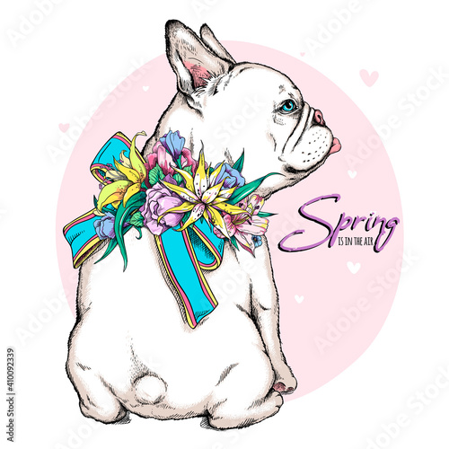 Cute sitting french bulldog with bow and flowers. Spring is in the air illustration. Stylish image for printing on any surface