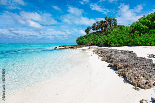 Fototapeta Naklejka Na Ścianę i Meble -  Maldive Islands Sand Beach and green palm foliage view