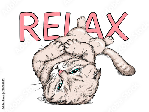 Cute lying lazy cat. Relax illustration. Scottish fold cat illustration in hand drawn style. Stylish image for printing on any surface