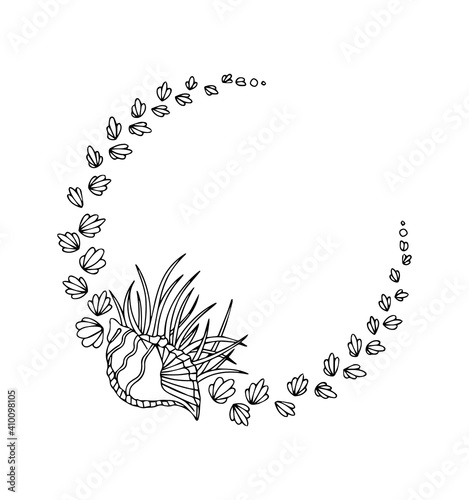 Doodle seashells, vector art frame. Isolated illustration on white background. Black line art.