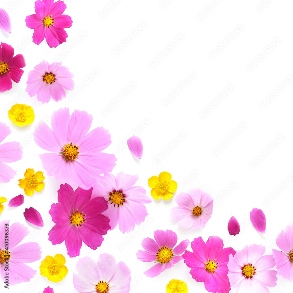 frame made of natural flowers with place for text frame made of natural flowers with place for text