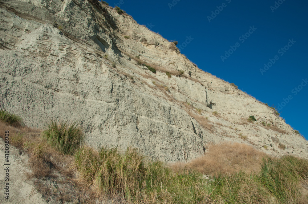 Sea cliff in the Cape Kidnappers Gannet Reserve. North Island. New Zealand.