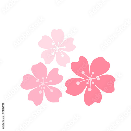 Pink cherry blossom isolated on white background vector illustration. Sakura flower.