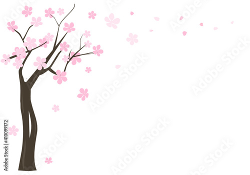Cherry blossom tree isolated on white background vector illustration. Sakura flower.