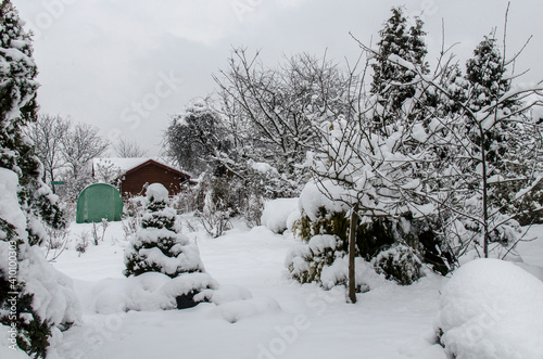 Zima w ogrodzie  © wedrownik52