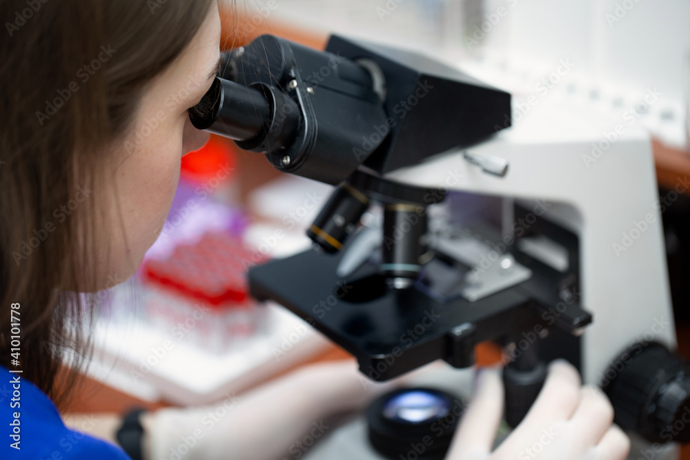 Young attractive veterinary worker in gloves using microscope for testing blood samples of animals. Vet doctor looking into microscope, close-up. Young attractive veterinary worker in gloves using microscope for testing blood samples of animals. Vet doctor looking into microscope, close-up.