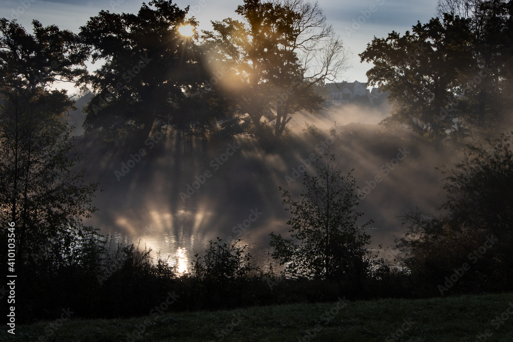 Herbst, Weiher, See, Nebel, Dunst, Baum