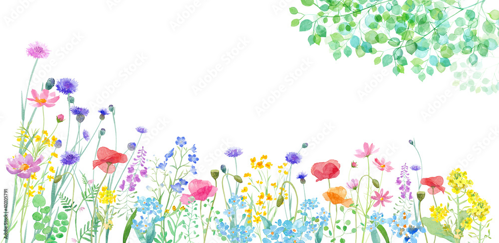 色々な花が咲き乱れる春の野原と 新緑の枝葉の水彩イラスト バナー背景 Stock Illustration Adobe Stock