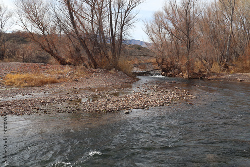 Εκτύπωση καμβά River running through dormant trees in near Clarksdale, Arizona