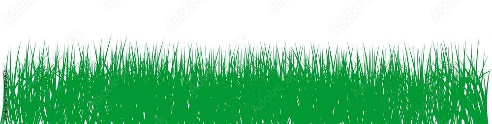Obraz premium Grünes Gras vektor auf einem isolierten weißen Hintergrund.