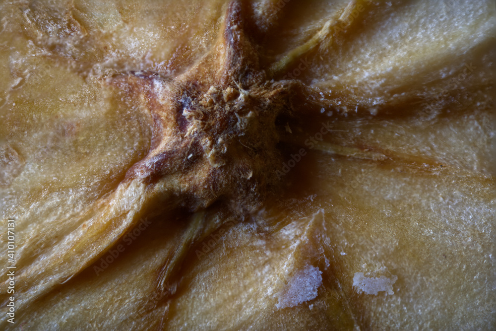 dried apple ultra macro dried apple ultra macro