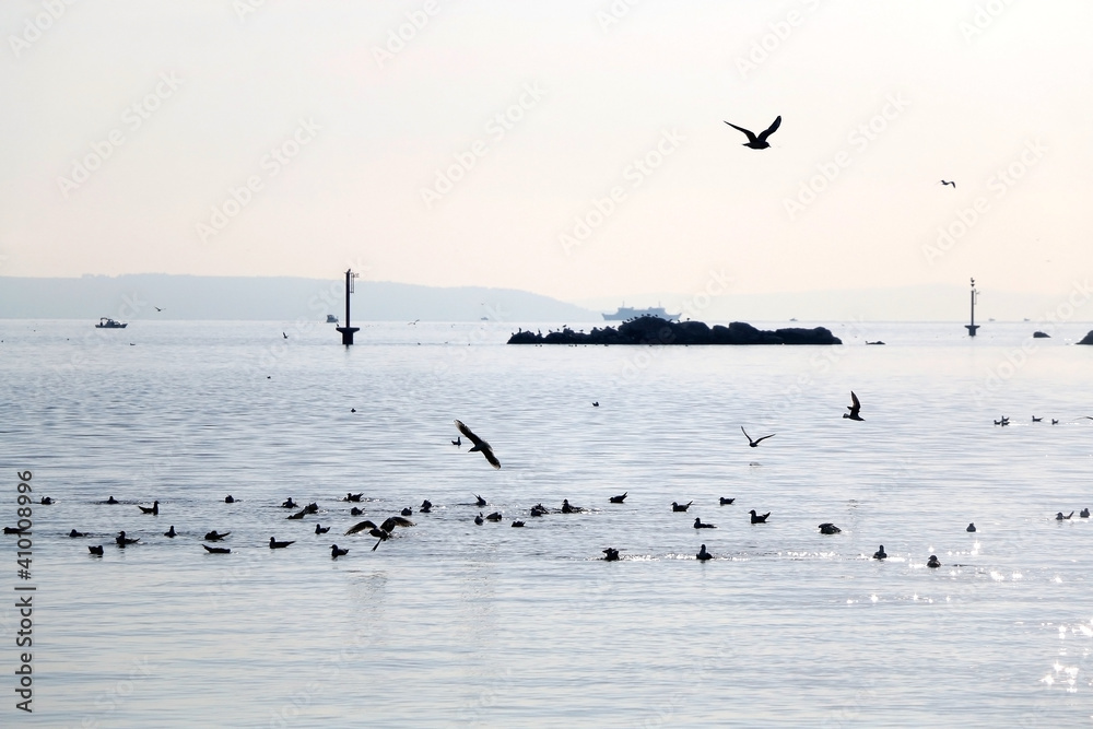 Small fishing boat and seagulls on the sea. Picturesque landscape in Split, Croatia.