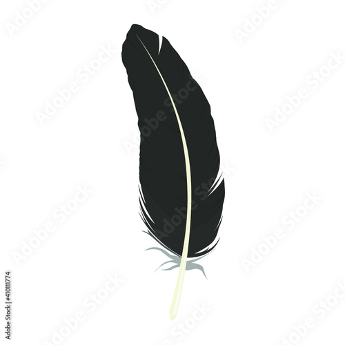 Feather Vector Isolated on White Background