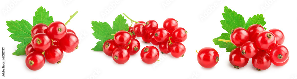 Red currant berries with leaf isolated on white background. Set or collection Red currant berries with leaf isolated on white background. Set or collection