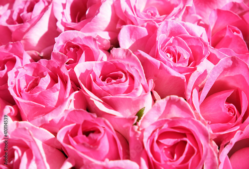 Large bouquet of pink roses