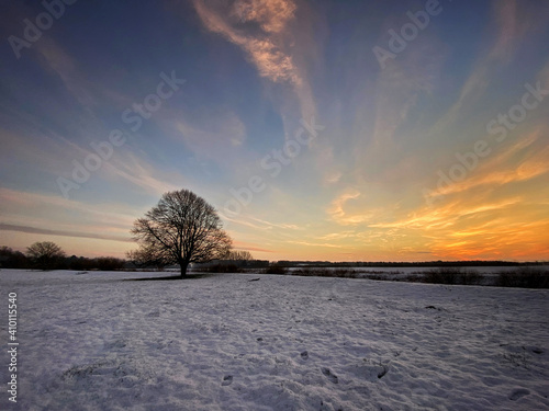 Golden winter sunset over snow covered meadow