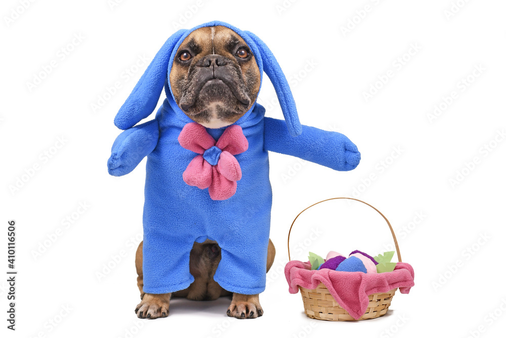 bulldog easter basket