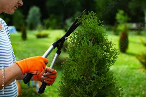 Young woman pruning bushes, gardening concept