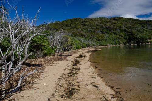 Boulder Beach in Ulva Island. Rakiura National Park. New Zealand. photo