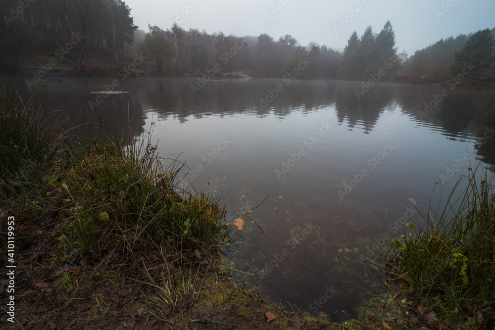 Obraz premium Cannock Chase National Forest UK