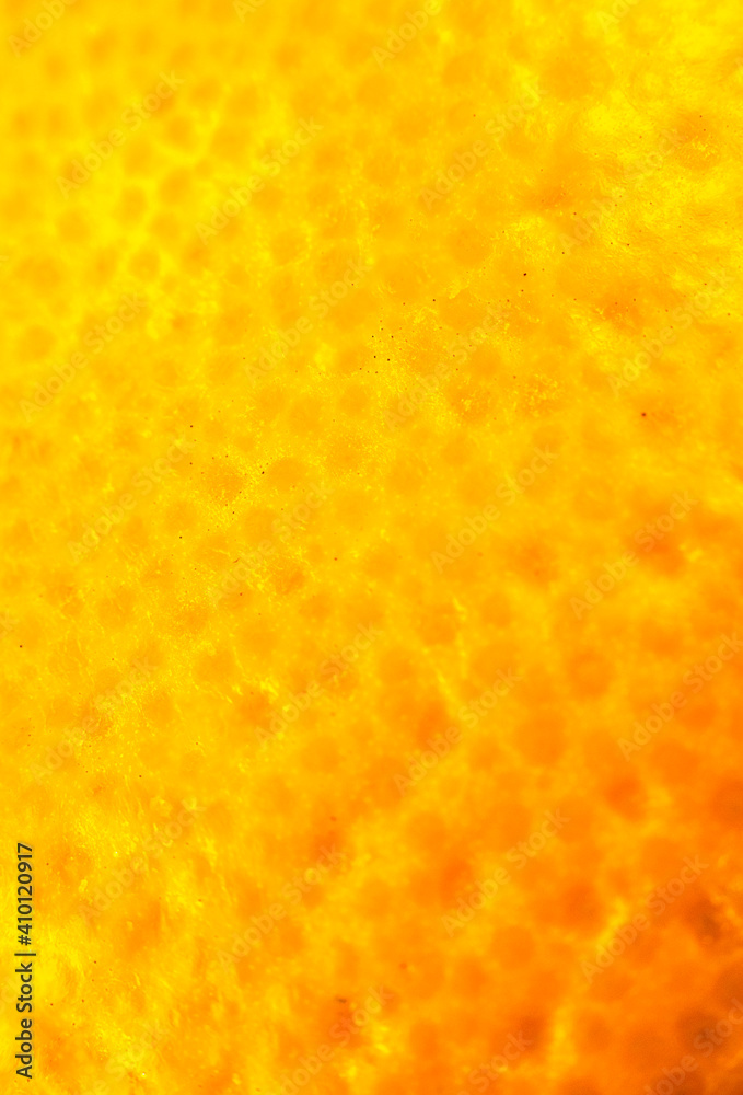 Close up photo of orange peel. Oranges ripe fruit background, macro view. Close up. Close up photo of orange peel. Oranges ripe fruit background, macro view. Close up.