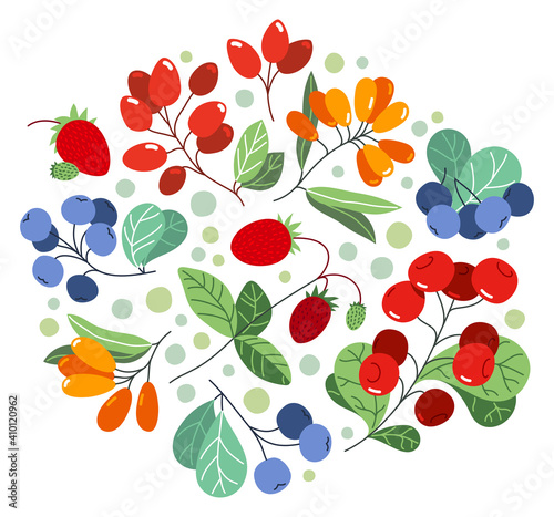 Wild berries fresh and ripe tasty healthy food vector flat style illustration isolated over white, delicious vegetation diet eating, organic food.
