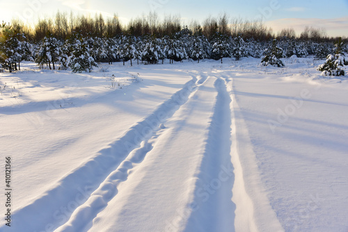 Snowy road in winter forest on sunset background. Awesome winter landscape. A snow-covered path among the trees in the wildlife. Forest in the snow. Tire tracks from a car that ran in the snow