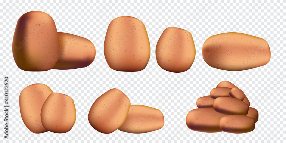 Raw potatoes set isolated on transparent background. Vector realistic 3d Potatoes collection Raw potatoes set isolated on transparent background. Vector realistic 3d Potatoes collection