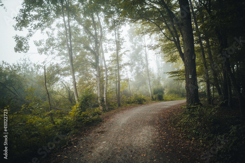 Fototapeta Naklejka Na Ścianę i Meble -  forest path fog morning mystical