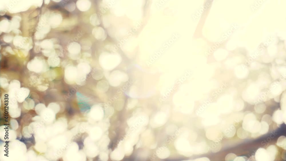 Natural Abstract Bokeh Background with sun rays Natural Abstract Bokeh Background with sun rays