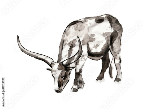 Grazing Sanga cow, sumi-e illustration. Oriental ink wash painting . Symbol of the eastern new year of the Ox.