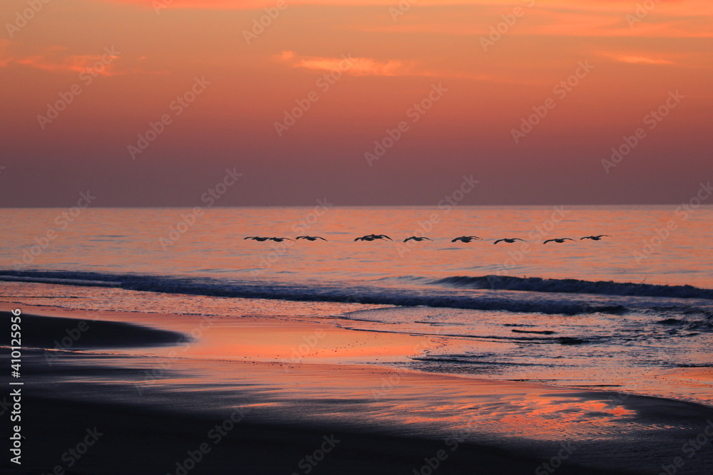 Pelicans at Sunrise 7970