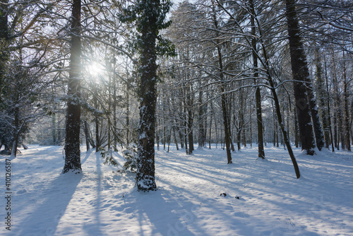 Park Dworski w Iłowej w zimowy, słoneczny dzień. © boguslavus