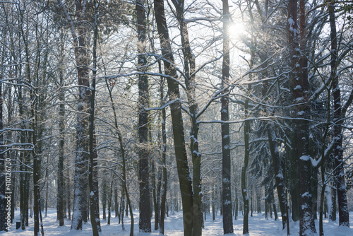 Park Dworski w Iłowej w zimowy, słoneczny dzień.