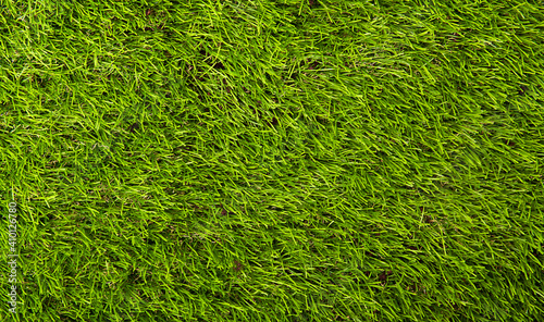 the background is made of green natural grass. lawn. Top view