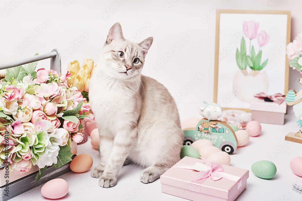 Easter cat with eggs and flowers. Gray kitten sitting on table. Spring  greeting card Happy Easter. Easter decor. Watercolor spring paintings.  Designer and artist's workplace. Creative space. Stock Photo | Adobe Stock