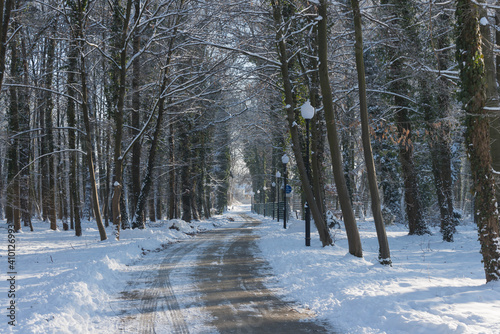 Fototapeta Naklejka Na Ścianę i Meble -  Park Dworski w Iłowej w zimowy, słoneczny dzień.
