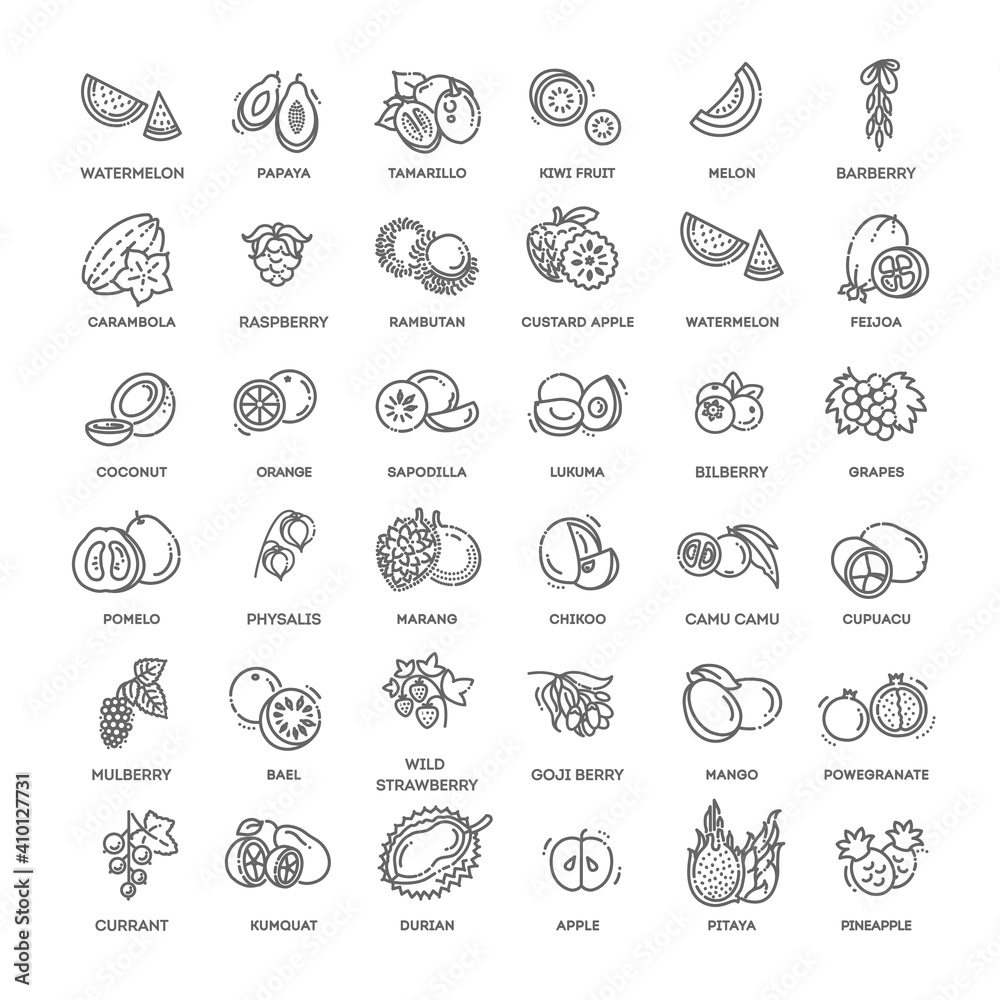 Fruits and berries vector icons. Fresh and natural ingredients