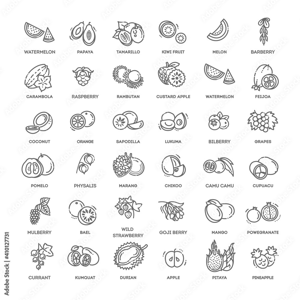 Fototapeta premium Fruits and berries vector icons. Fresh and natural ingredients
