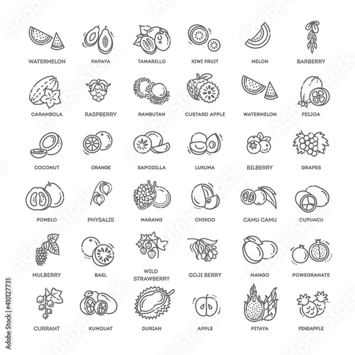 Fruits and berries vector icons. Fresh and natural ingredients