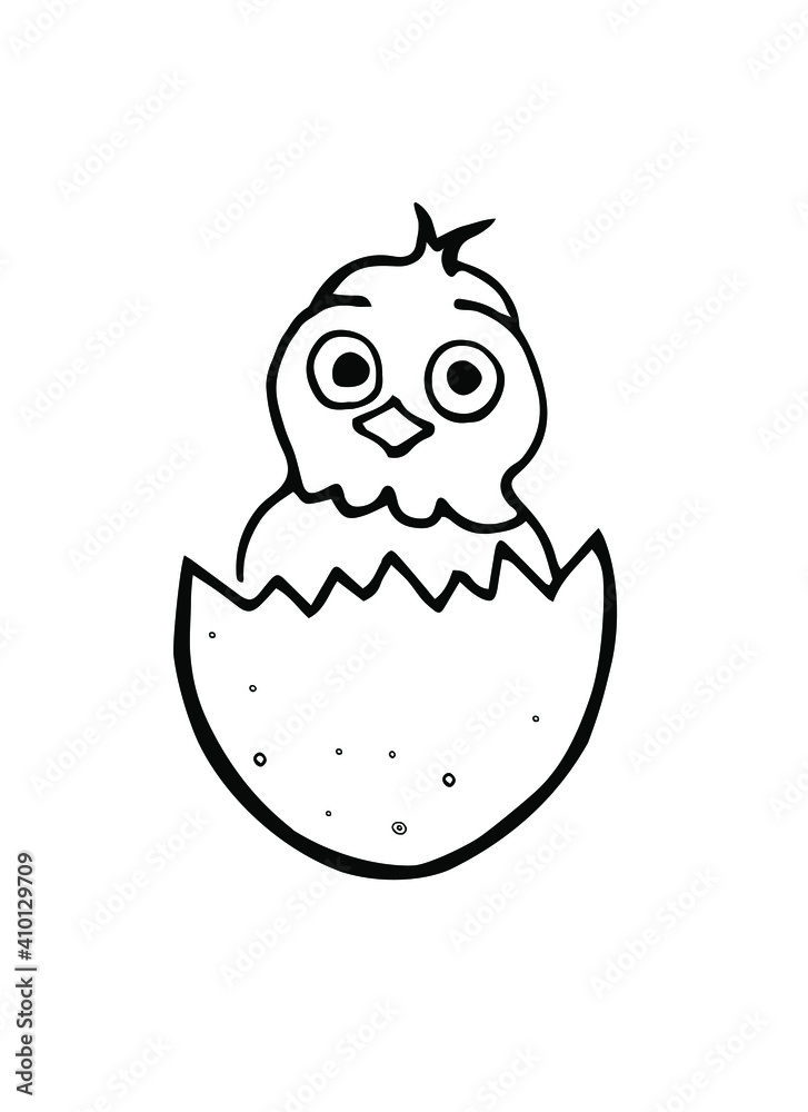A small chicken in a shell. Vector illustration drawn by hand. It can be used in the design of postcards, advertising products, products, book illustrations. A small chicken in a shell. Vector illustration drawn by hand. It can be used in the design of postcards, advertising products, products, book illustrations.